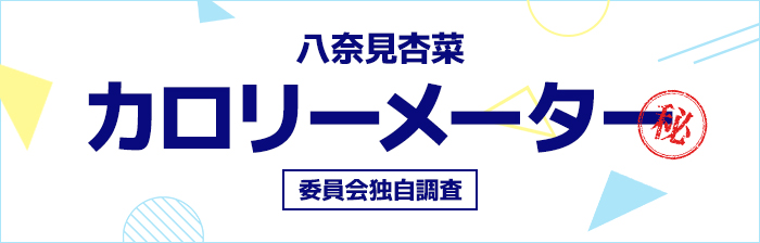 カロリーメーター